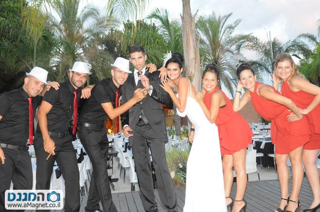 תמונה גדולה